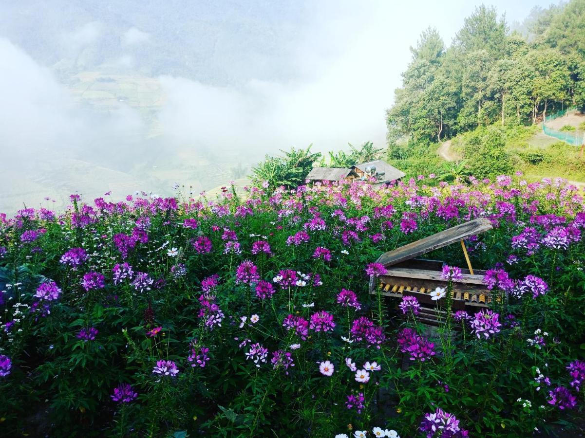 Mu Cang Chai Big View Homestay, Tour & Vegetarian Exterior photo