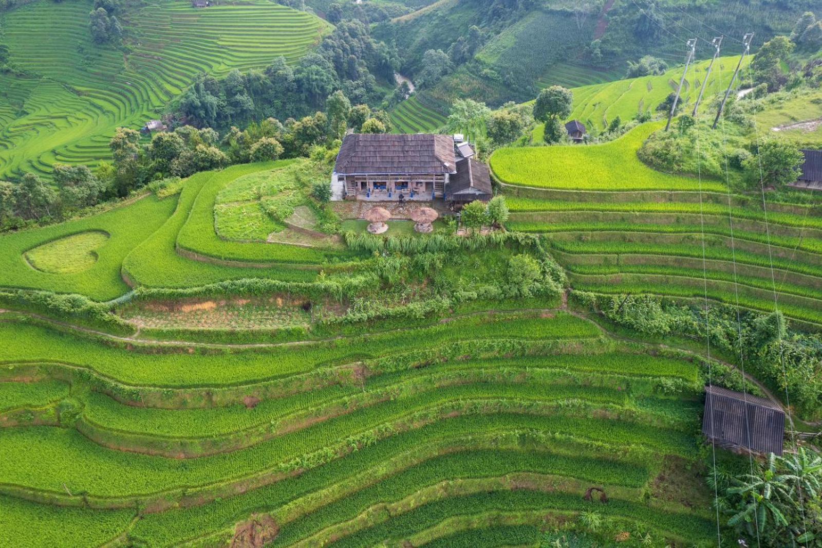 Mu Cang Chai Big View Homestay, Tour & Vegetarian Exterior photo